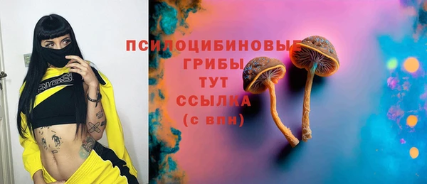 2c-b Мегион