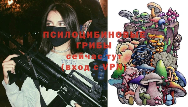 стафф Магадан
