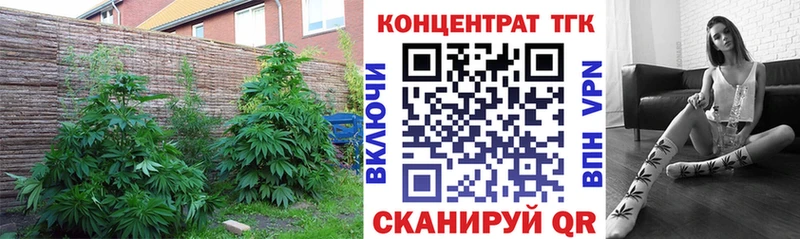 ТГК гашишное масло  Купить  Николаевск 