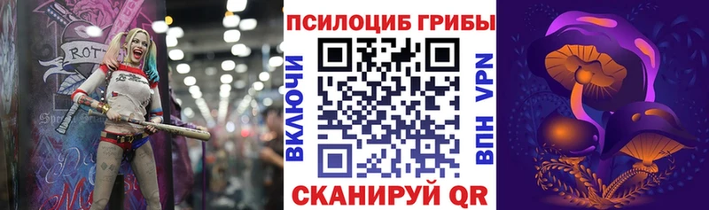 Галлюциногенные грибы Psilocybine cubensis  Купить где  Николаевск 