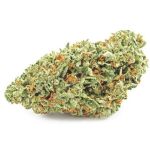 Шишки OG Kush  (Гидропоника, бошки) VHQ в Николаевске